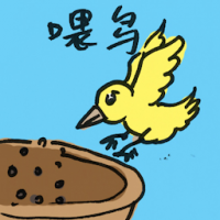 喂鸟 feed the birds