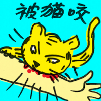 被猫咬 cat bites