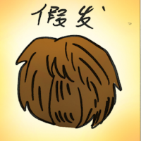 假发 wig