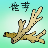 鹿茸,鹿角 antler