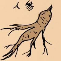 人参 ginseng