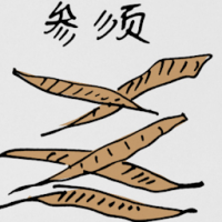 参须 ginseng tails