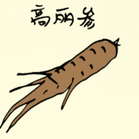 高丽参 korean ginseng