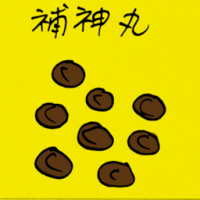 補神丸 cerebral tonic pills