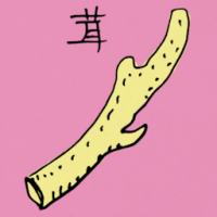 茸 medical antler