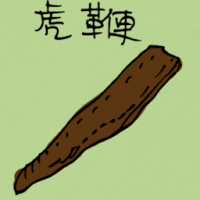 虎鞭 tiger testicle