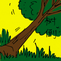 树倒 fallen tree