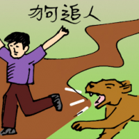 狗追人 chased by dog