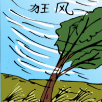 狂风 storm
