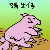 猪生子 pig giving birth