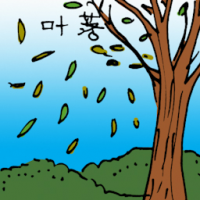 叶落 leaves falling