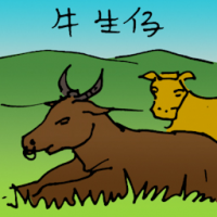 牛生仔 cow giving birth