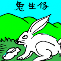 兔生仔 rabbit giving birth