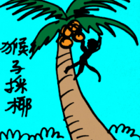 猴子采椰 monkey plucking coconut
