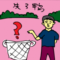 失了鸭 duck lost