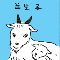 羊生仔 goat giving birth