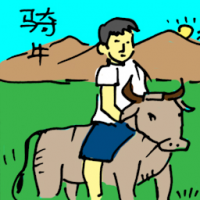 骑牛 riding a cow