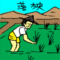 落秧 planting