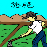 施肥 ferterlizing soil