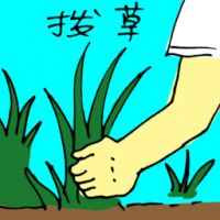 拔草 picking weeds