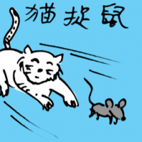猫捉鼠 cat catching rat