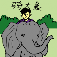 骑大象 riding elephant