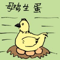 母鸡生蛋 laying eggs