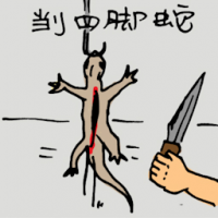 杀四脚蛇 killing / dissecting lizard