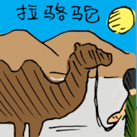 拉骆驼 pulling camel