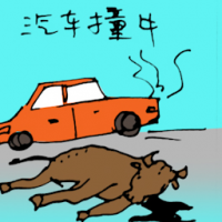 汽车撞牛 cow knocked by car