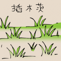 插木茨 planting tapioca