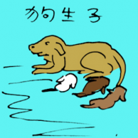 狗生仔 dog giving birth