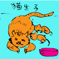猫生仔 cat giving birth