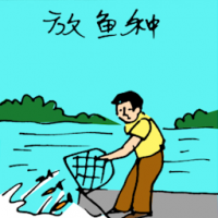 放鱼种 feeding fish