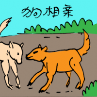 狗相亲 dog mating