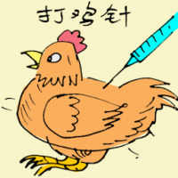 打鸡针 injecting chicken
