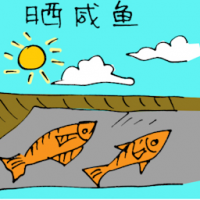 晒咸鱼 drying salted fish