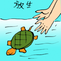 放生 freeing captive animals
