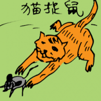 猫捉鼠 mouse caught by cat
