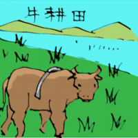 牛耕田 cow ploughing paddy field