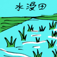 水浸田 fields flooded