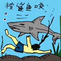 被鲨鱼咬伤 attacked by shark