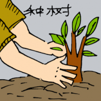 种树 planting