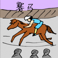 赛马 horse racing