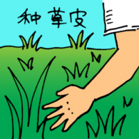 种草皮 sowing plants