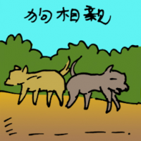 狗相亲 dogs mating