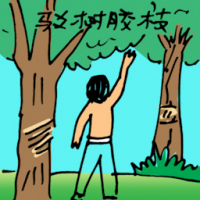 驳树胶枝 joining rubber tree branches