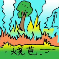 烧芭 burning jungle
