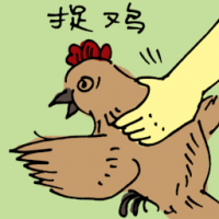 捉鸡 catching chicken