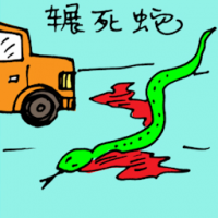 辗死蛇 car run over snake